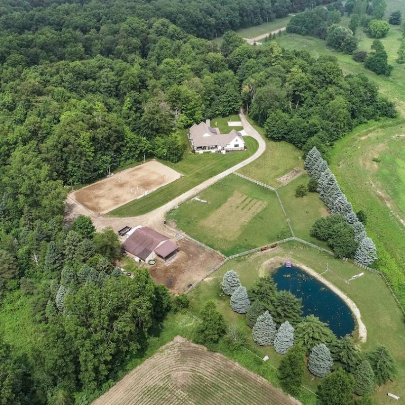 Sold horse property, 6710 Talbot Dr, Almont, MI