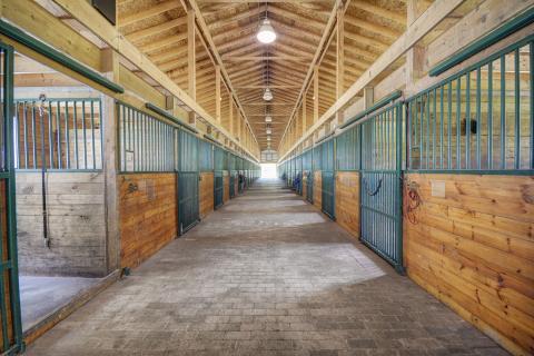 Oakland County equestrian properties